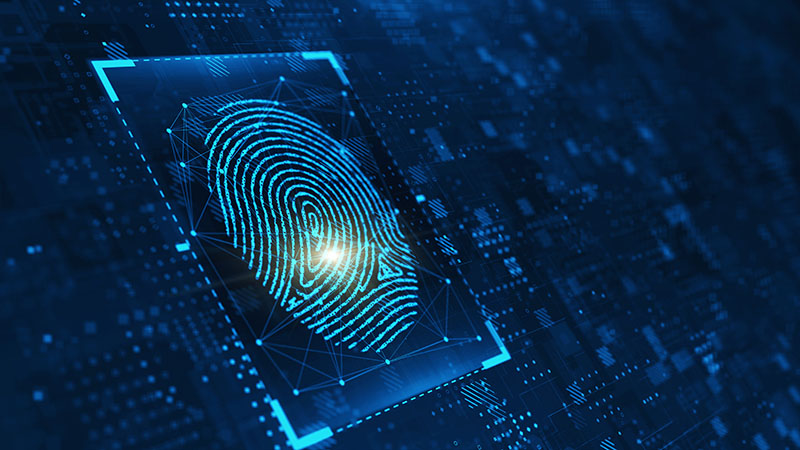 fingerprinting services